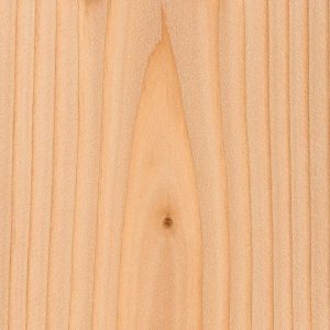Douglas Fir